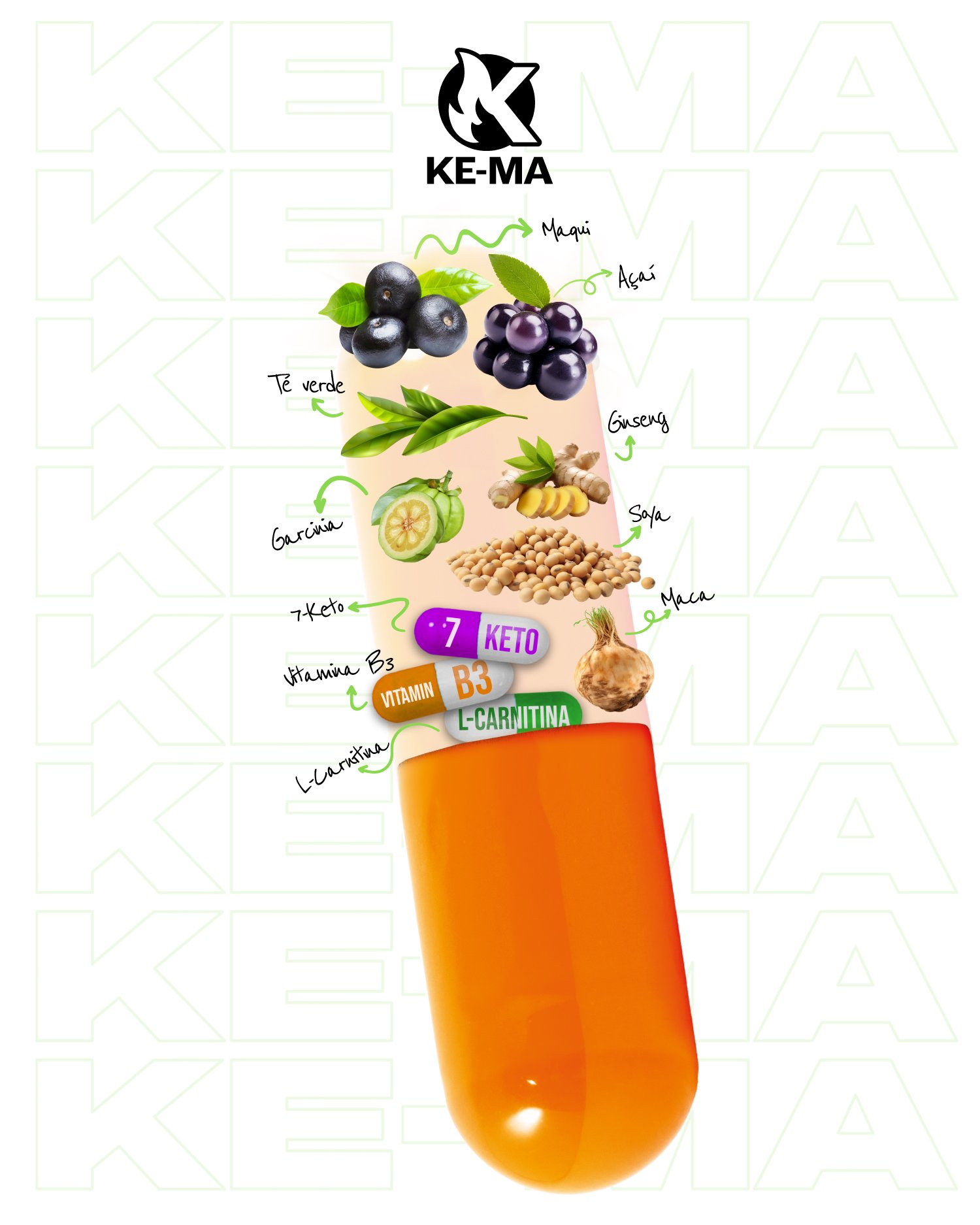 Kema + Fibra - Image 4