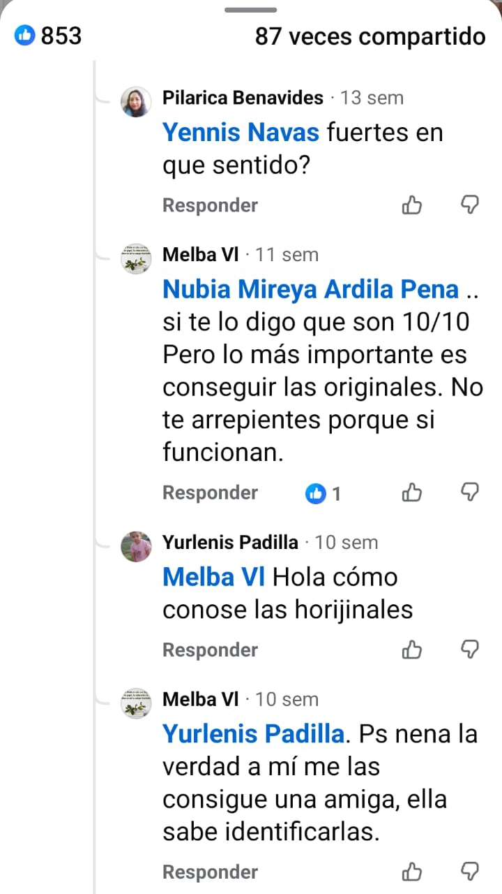 testimonio-kema-5